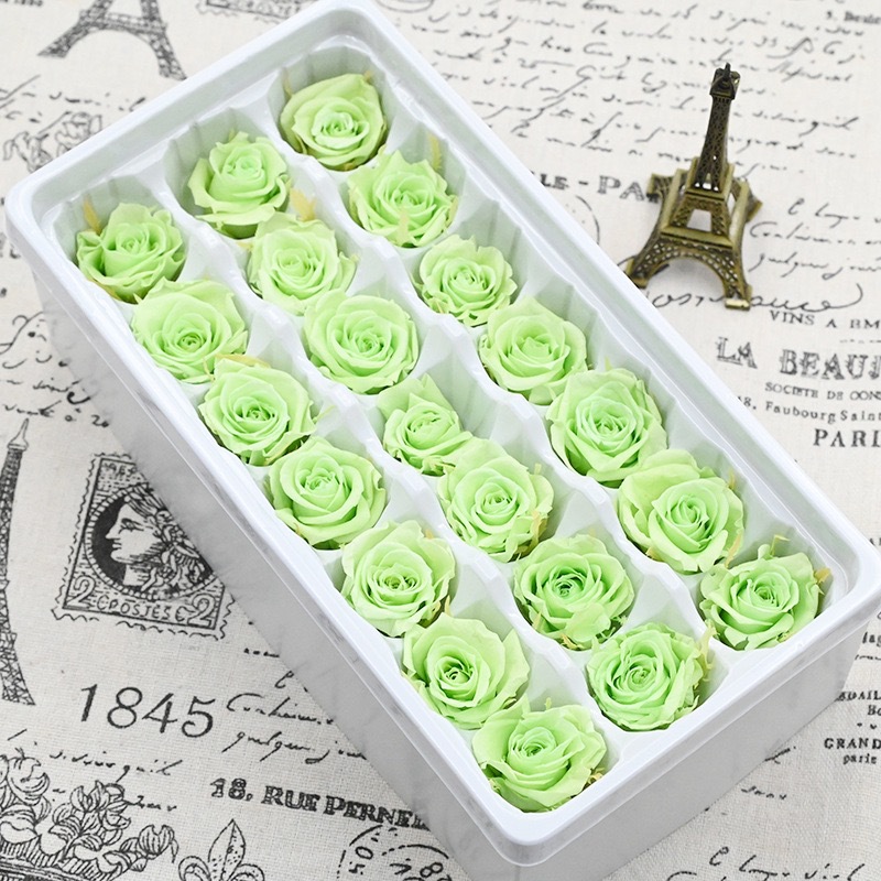 Eternal Rose verde claro 1