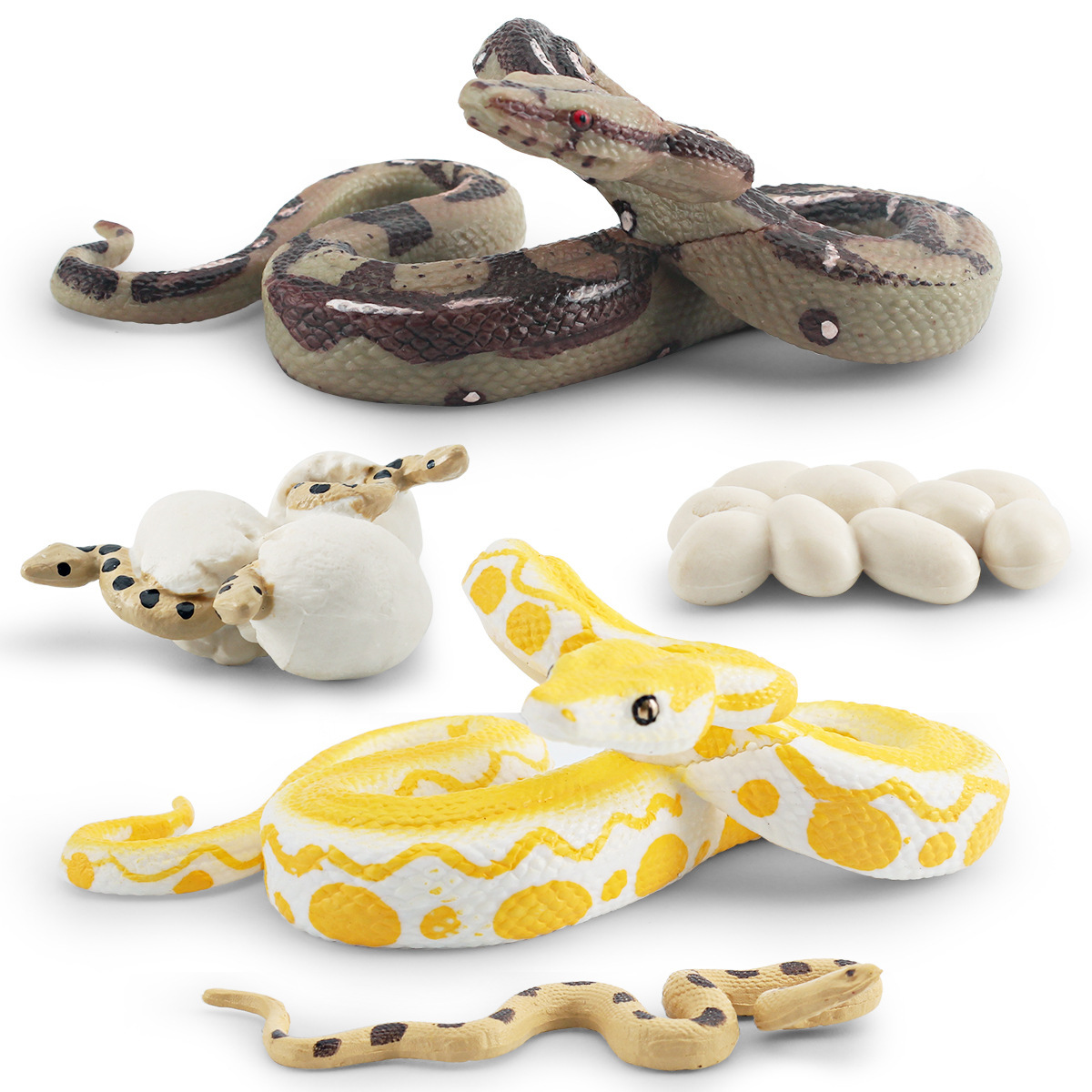 Simulación transfronteriza bosque animal Python modelo de ciclo de crecimiento Birmano Python ciruela flor Python proceso de crecimiento decoración juguete