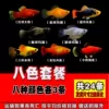 There are 3 types of sibi and sogonly fish, each of which a total of 24 pieces each