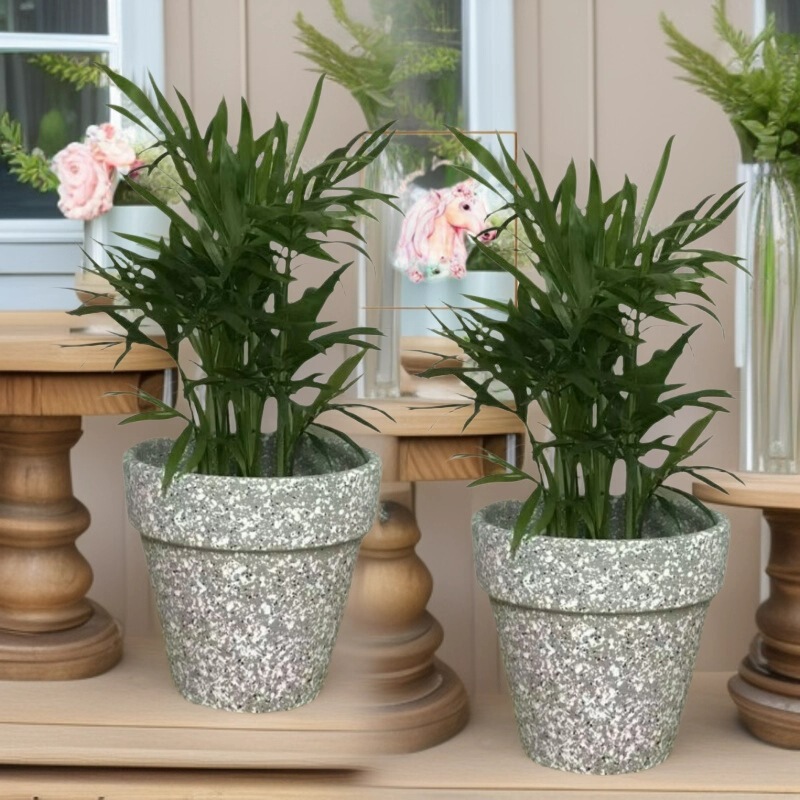 Stone color succulent flower pot Nordic style colorful round breathable clay ceramic succulent flower pot