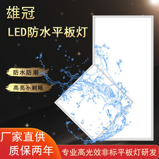 Bathroom Waterproof Led300X300X600*600 Integrated Ceiling Light Swimming Pool Bathroom Waterproof Flat Panel Light