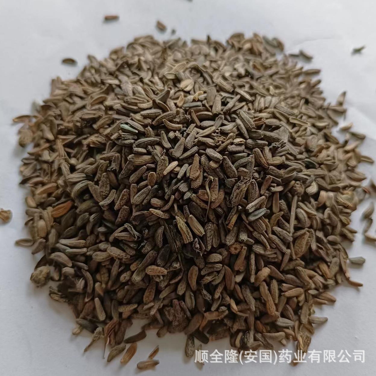 中草药 牛蒡子安国厂家批发带合格证质检发票，量大优惠欢迎代理