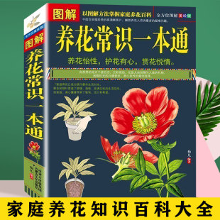 �D���B�����Rһ��ͨ��ͥ�B�����̨�N�˾��^�����Bֳ�B���B������
