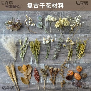 ���͹��L�ɻ����ϡ���֦��ֲ��˱����diy��ˇ��������W��̫��