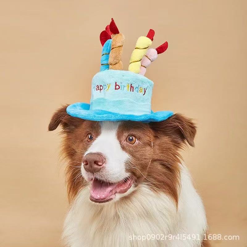 Factory cat dog pet birthday hat headdress dress photo pet toy