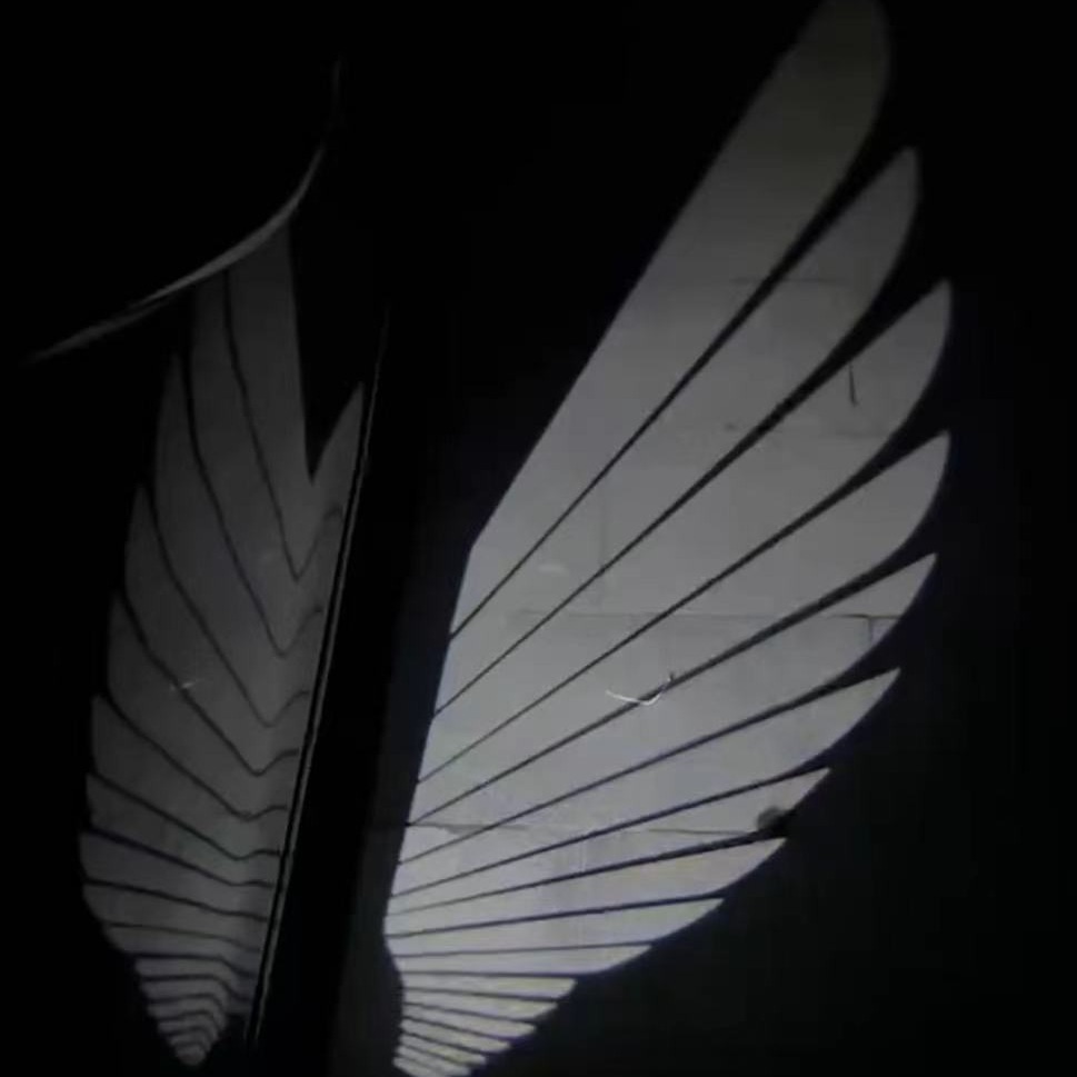 汽车高清后视镜照地灯通用款式天使之翼迎宾投影灯镭射灯led地毯