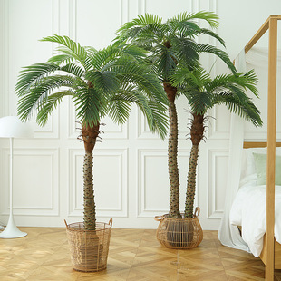 ����ᘿ��Gֲ���Կ����ؙ����쾰Ҭ�Ә�Ƶ��̈��辰�҃��b[�O