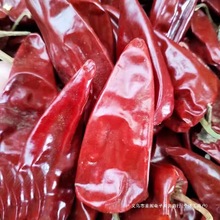 ɽ�|�t�������������ʝɆοh�ɼt�������������✫��t������һ��