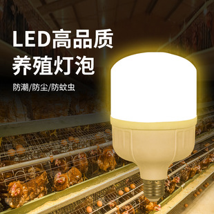 LED��Ʒ�|�Bֳ�����B�u��ů������S���10W15W�B���B�u��������