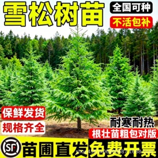 ѩ�ɘ����ļ������ͺ��@�ֹ��̾G�����ɰ���ľ�e��ͥԺ���^�L����