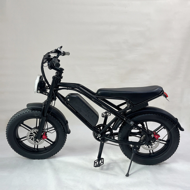Cross-Border Electric Bicycle 20inch with Fat Tires for Snow, Beach, Off-Road, and Grass Riding