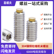 304P͹~oݽzA˙CݽzM3M4M5M6M8