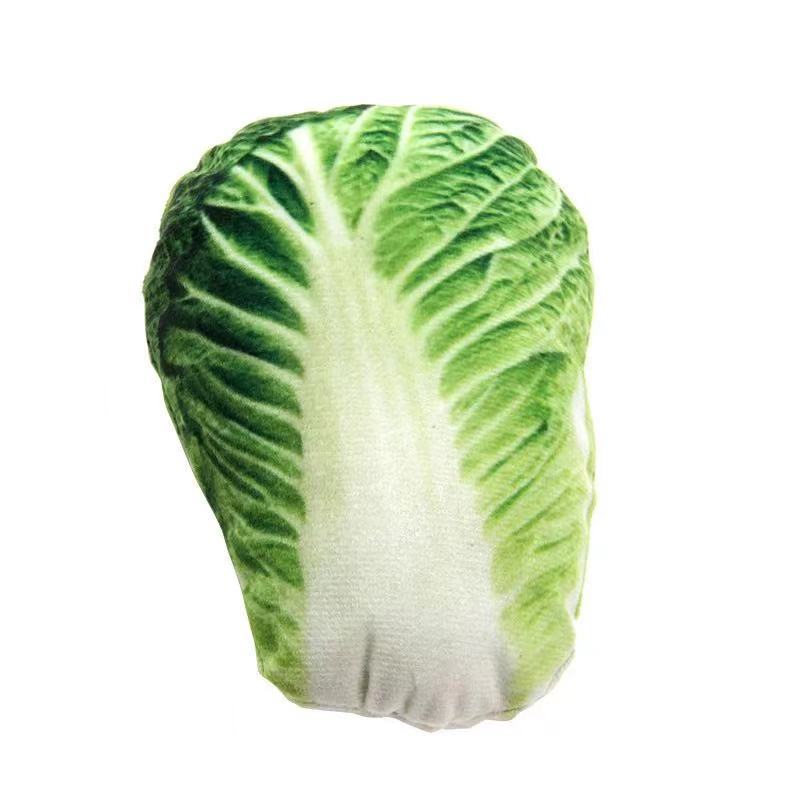 양배추
