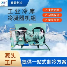 厂家供应比泽尔制冷压缩机3P/5P/8P/10P/15P水冷风冷式冷凝机组