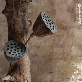 小莲蓬天然干花森系拍照道具干枯头陈列装修家装饰品摆件小号带籽