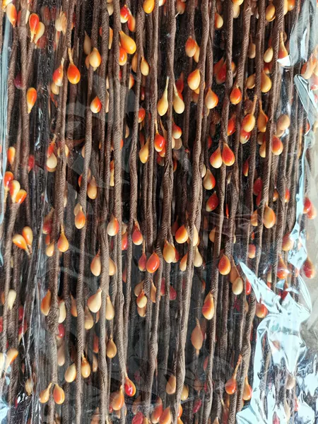 Orange (the price of 100 packets of the price)
