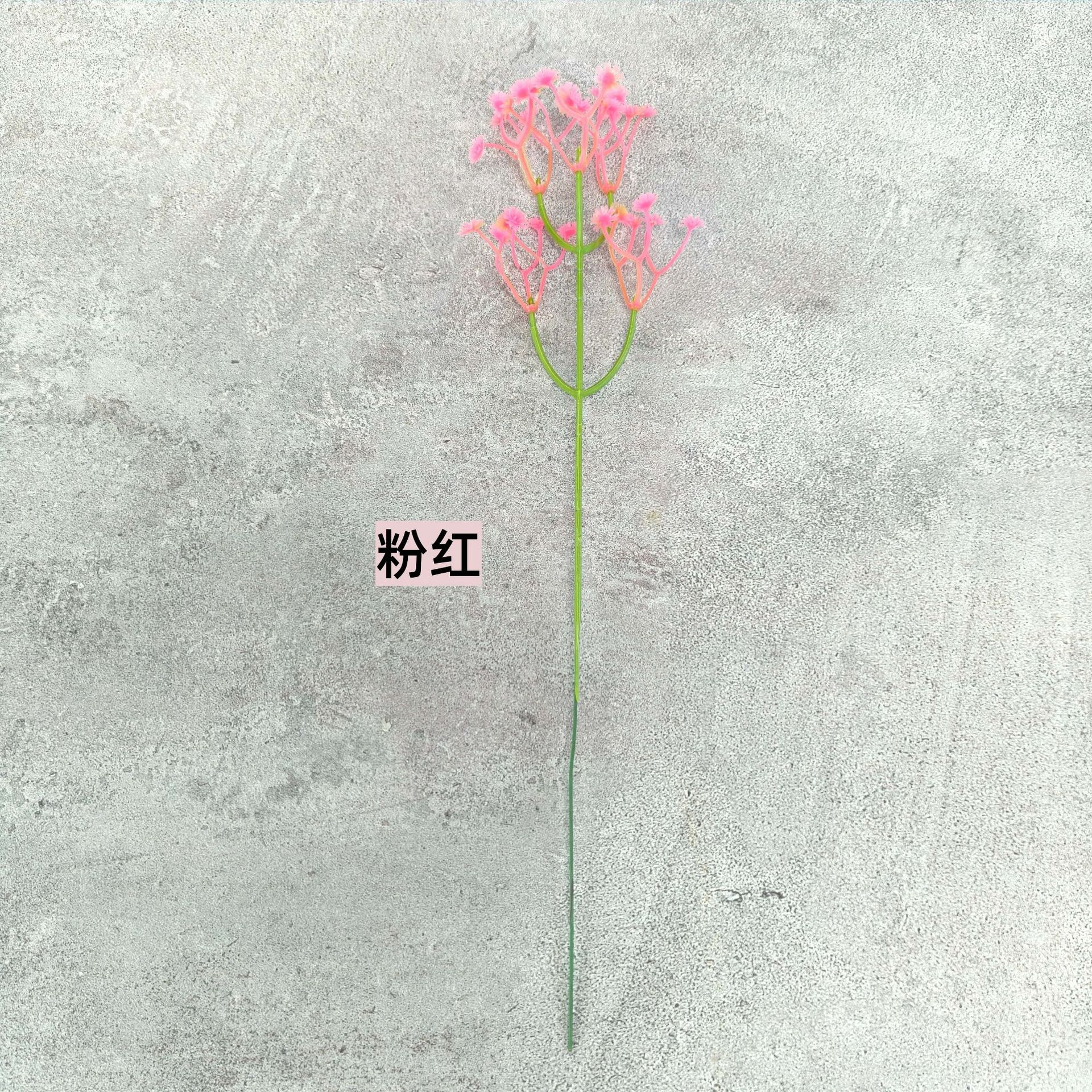 분홍색