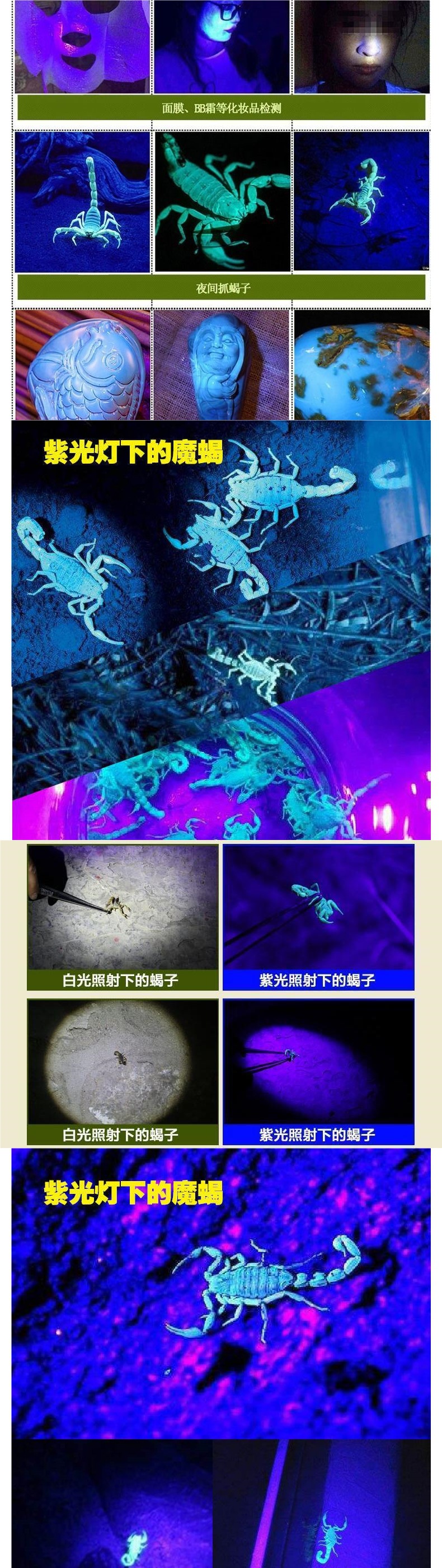 High-brightness scorpion catching lamp, scorpion flashlight with dual white and purple light sources, ultra-bright professional tool for catching scorpions, beetles, and detecting counterfeit money, L