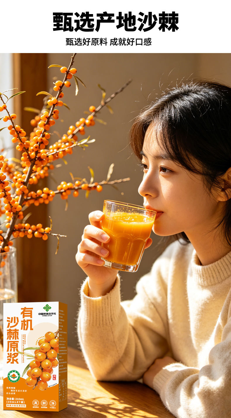 Organic Sea Buckthorn Puree Sha Ji 210ml Concentrated Juice Single Box specifications