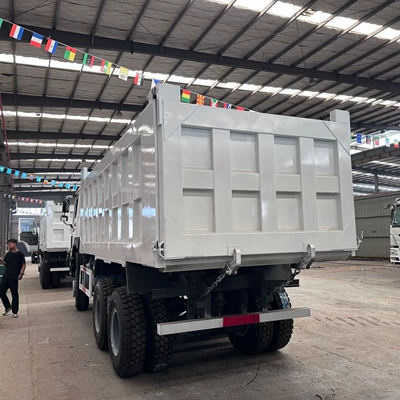 Yük maşınları 10-wheel 371 horsepower engineering dump