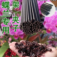 �����m��֧���m�A��֧�ΗUֲ�����ٻ��܏����̶��F�z֧�܈@ˇ