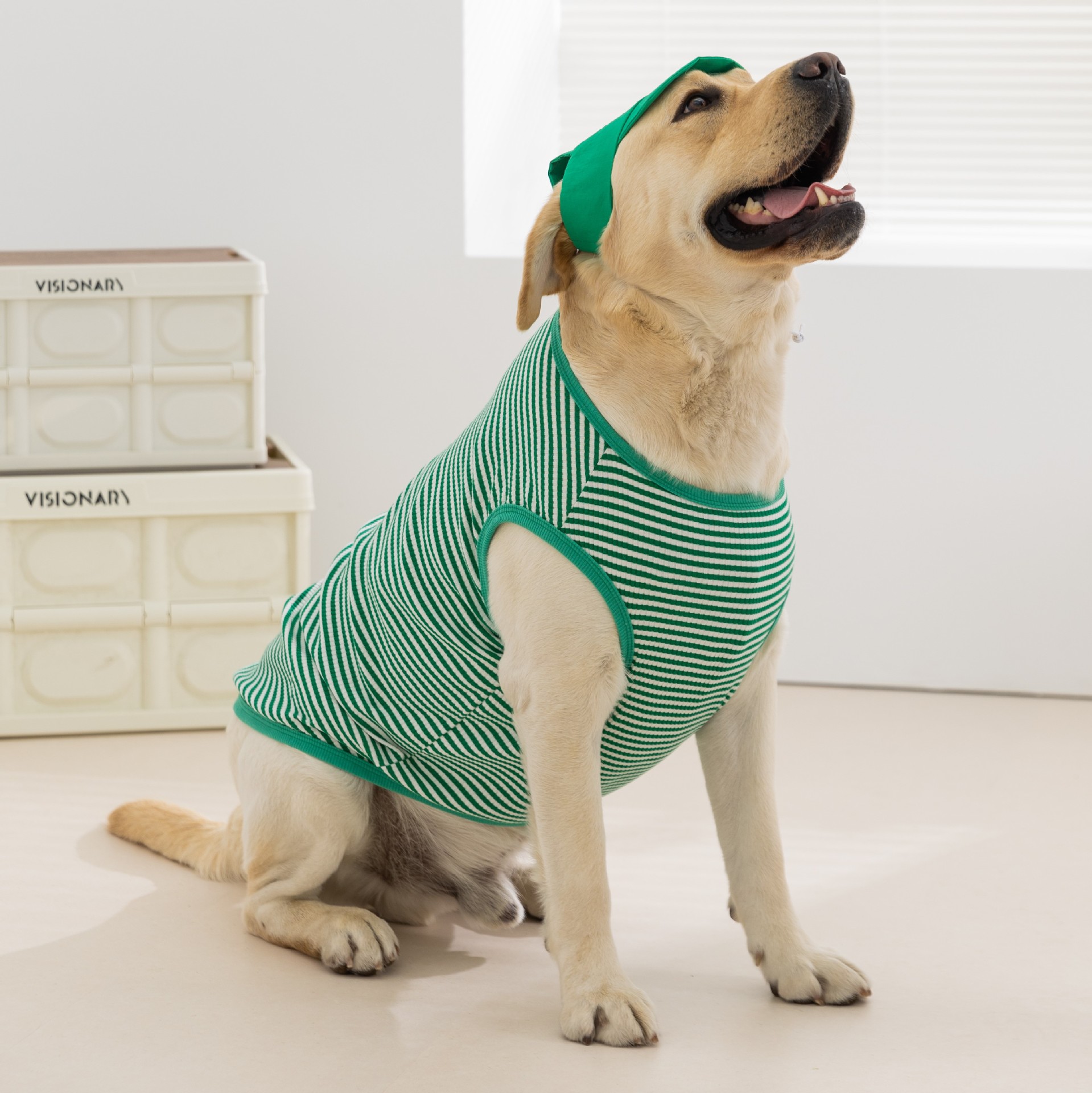 Ropa para perros grandes de estilo sencillo, sin mangas, con capucha, a rayas verdes, fina, para primavera y verano, transfronteriza.