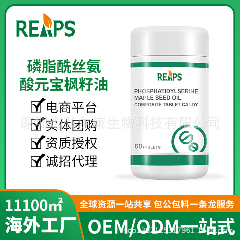 美国工厂元宝枫籽油神经酸脑动力压片糖果定制保健磷脂酰丝氨酸片
