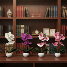 ���滨�����m5���辰С�[���Ĕz�Gֲ���߿͏d�b��zƬ�߷���