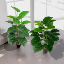 �羳����G�}����Gֲ���R�d���ͷ���Gֲ���ʽ�͏d�����̈����l