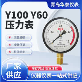批发普通压力表Y100Y60 现货供应压力表 款式多选压力表Y100Y60