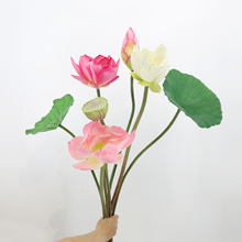 ���滨���l�����ɻ��^�z˯ɏܛ�z���~�b�ɏ��ˇ�g�廨���g��ˇ