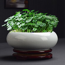 ��ڏ�ˮ�ɻ����մɴ�̖���ßo���~�X��ˮ��һ�~ɏ��ɏ������