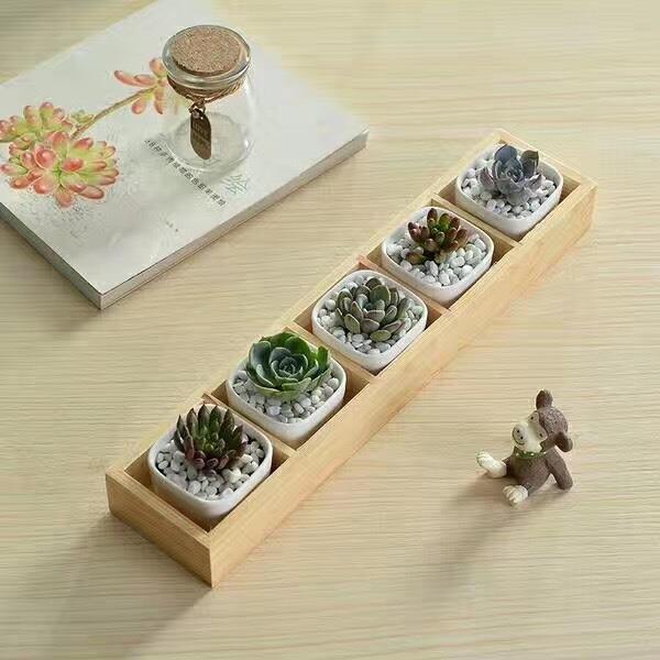 一键复制_20221024091917