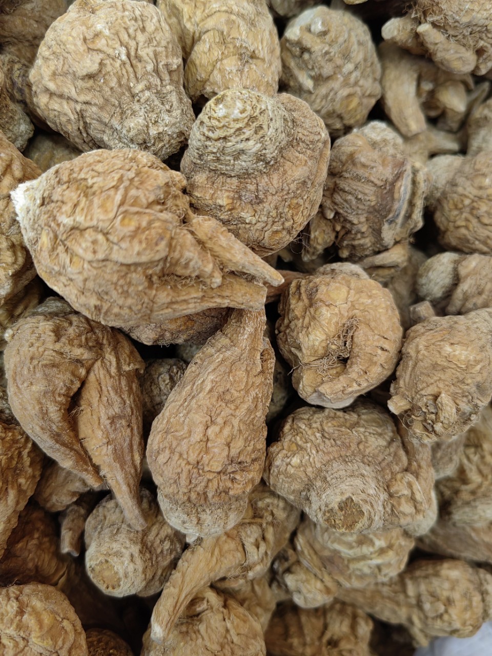 Maca Root (Lepidium meyenii) — Yunnan Black & Yellow Maca Slices, 500g Food Herb quality and texture
