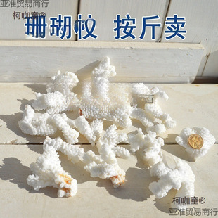 ��̨�b���Ȼ̫���ײ�ɺ���~��diy���b����֦����ؐ��䁵�ɺ��ʯ