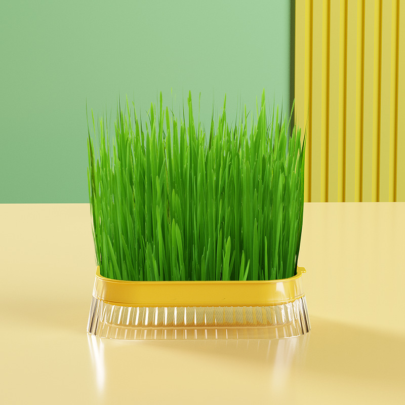 Nuevo gato grasa en maceta perezoso sin suelo caja de plantación hidropónica semillas de trigo placa de cultivo al por mayor