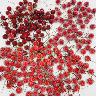 Amazon Single-Head Glass Bead Fruit Simulated Pomegranate Foam Frost Artificial Bayberry Bead Christmas Material Manufacturer