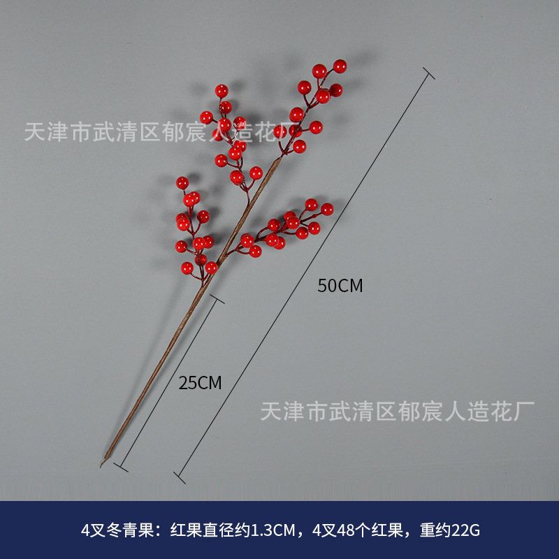 102 4叉冬青果.jpg