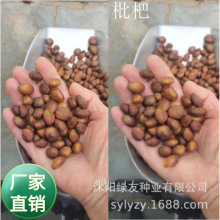 ���l�@�־G�����ѹ�˾���l���G��N  ���˷N�� ���˘�N�� ˮ����