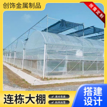 薄膜连栋大棚 智能温室大棚塑料连体棚骨架农业瓜果蔬菜种植棚