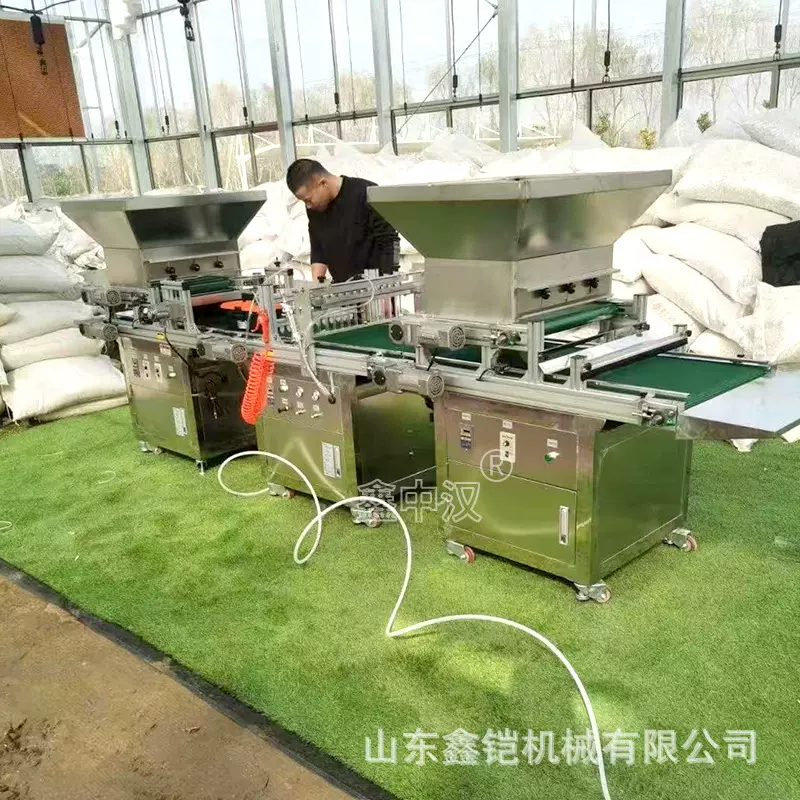 穴盘育苗播种机全自动流水线种子点播机农业播种器蔬菜穴盘播种机