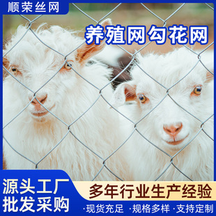 �B�u���ZȦ���~�����x�Bֳ�W�����F�z�W���o����б�������^���W