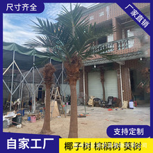 ����Ҭ�Ә� �����������˿� ����҃����b��쾰����䓼٘�S��