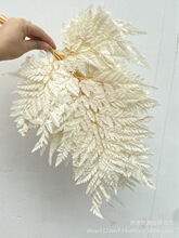 ����ɽ���X�~��������ɽ���X�W�tާ�~ާ�ܛ�b�^������յ���