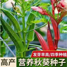 ˮtNӸ߮aSN紺ļ̨߲˷N