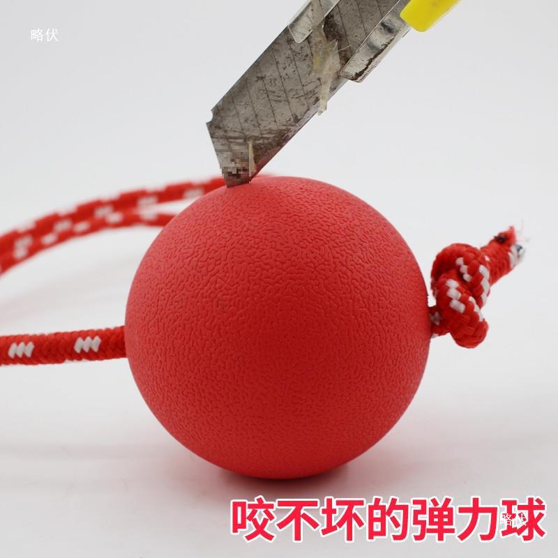 개 장난감 물림 방지 고무 단단한 탄성 공 골든 리트리버 개 중형 및 대형 개 훈련 어금니 애완 동물 용품 공