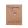 Zodiac signs, brand necklace, pendant, cards, chain for key bag , European style, wish, Amazon