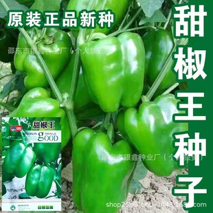 �𽷷N����˽����\���N�������N��ԭ�b�ļ��߲������N�Ӵ�ȫ���l