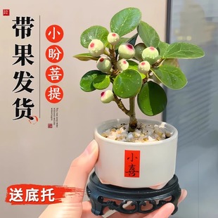 С���������Ԏ����k���ҶU���辰���湤λС�Gֲ�����������[��