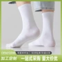 高密出货跨境定制短袜